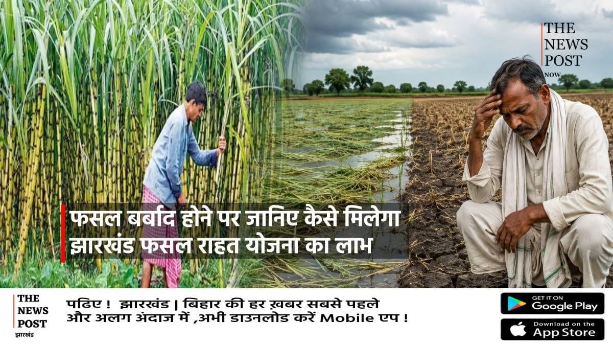 क्या आपकी फसल प्राकृतिक आपदा में हुई है बर्बाद? ऐसे उठाएं झारखंड फसल राहत योजना का लाभ