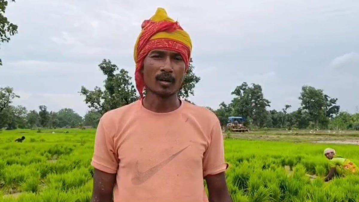 गढ़वा में सूखे की आहट! जुलाई में सामान्य से 149.1 मिमी कम बारिश, अब तक सिर्फ 4.29% धान की रोपनी