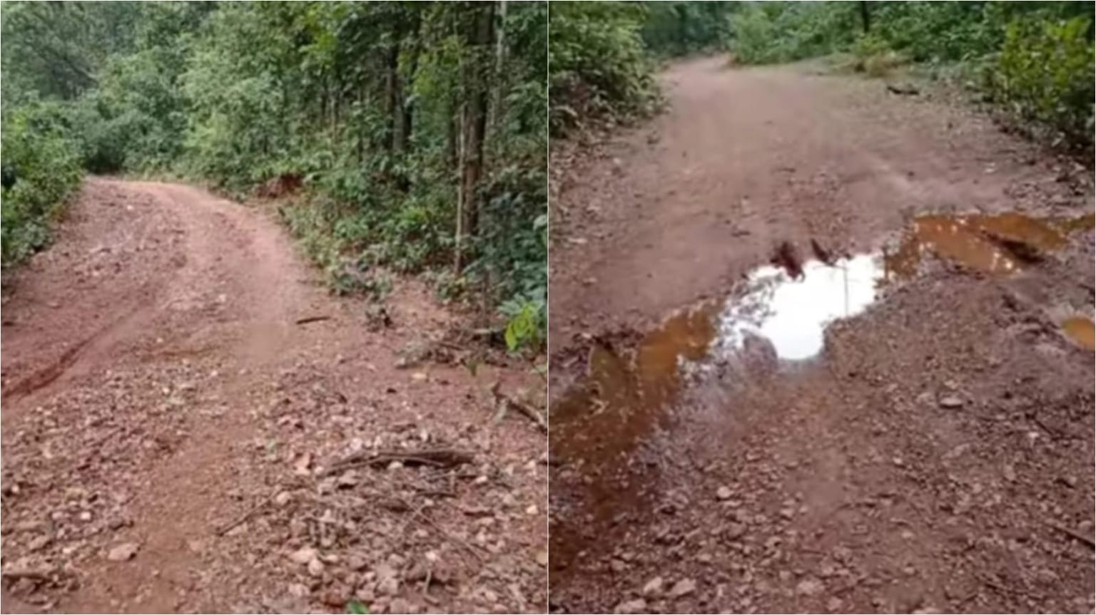 चाईबासा: 110 साल पुराने बालिबा गांव को आज भी सड़क का इंतजार, आजादी के 78 साल बाद भी 7 किमी कच्चे रास्ते पर निर्भर ग्रामीण