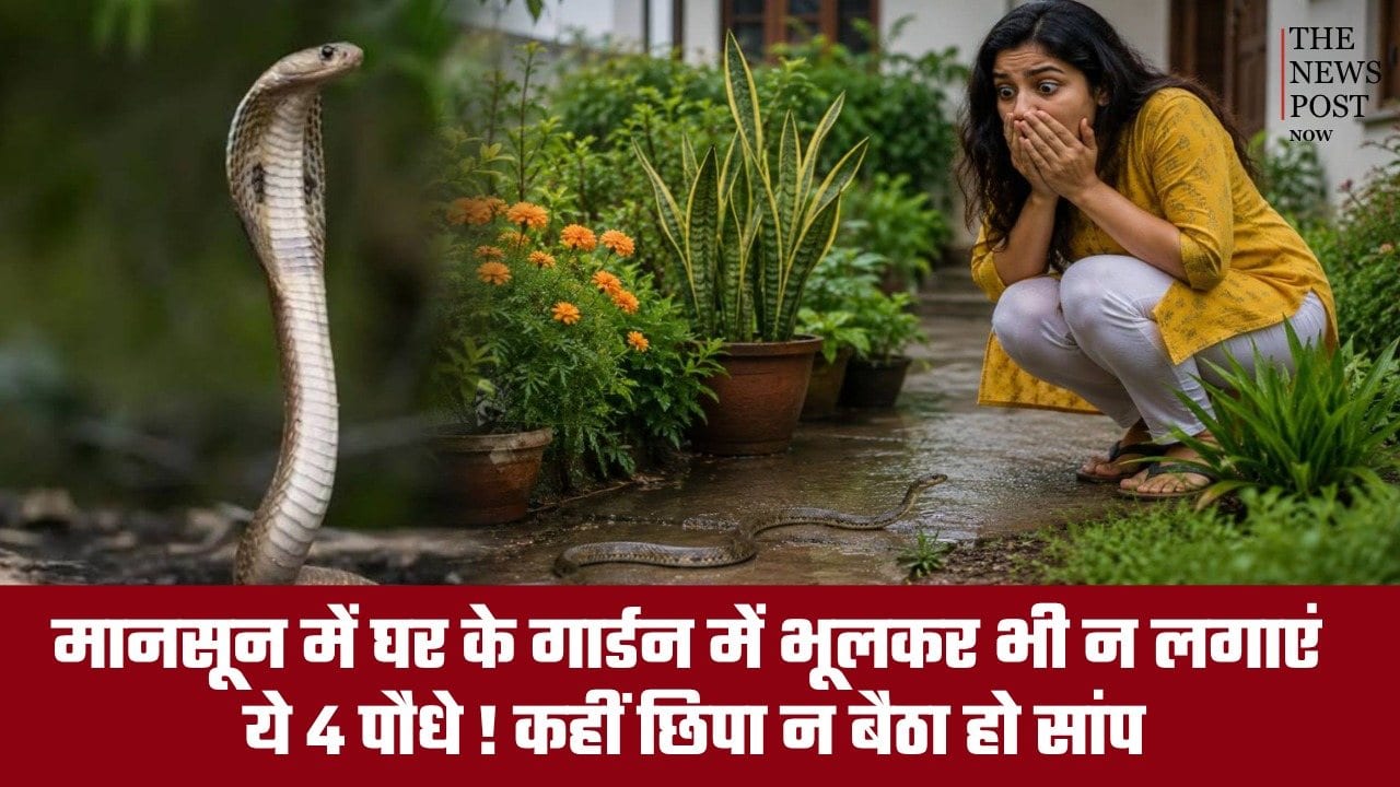 बारिश में गार्डन में भूलकर भी न लगाएं ये 4 पौधे, सांपों का बन सकता है ठिकाना!
