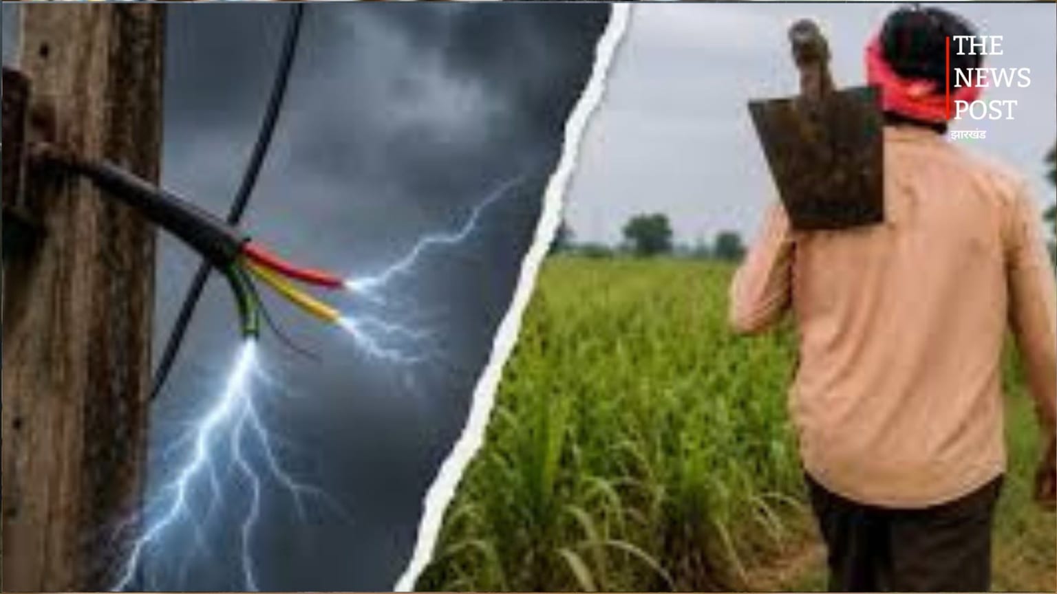 जमुई में खेत में गिरे बिजली तार की चपेट में आए बुजुर्ग किसान, करंट लगने से मौत