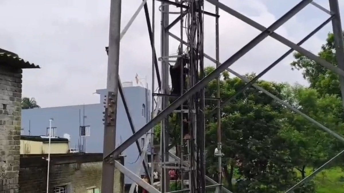धनबाद में मोबाइल टावर पर चढ़ा युवक, विधायक जयराम महतो से बात की जिद पर घंटों हाईवोल्टेज ड्रामा