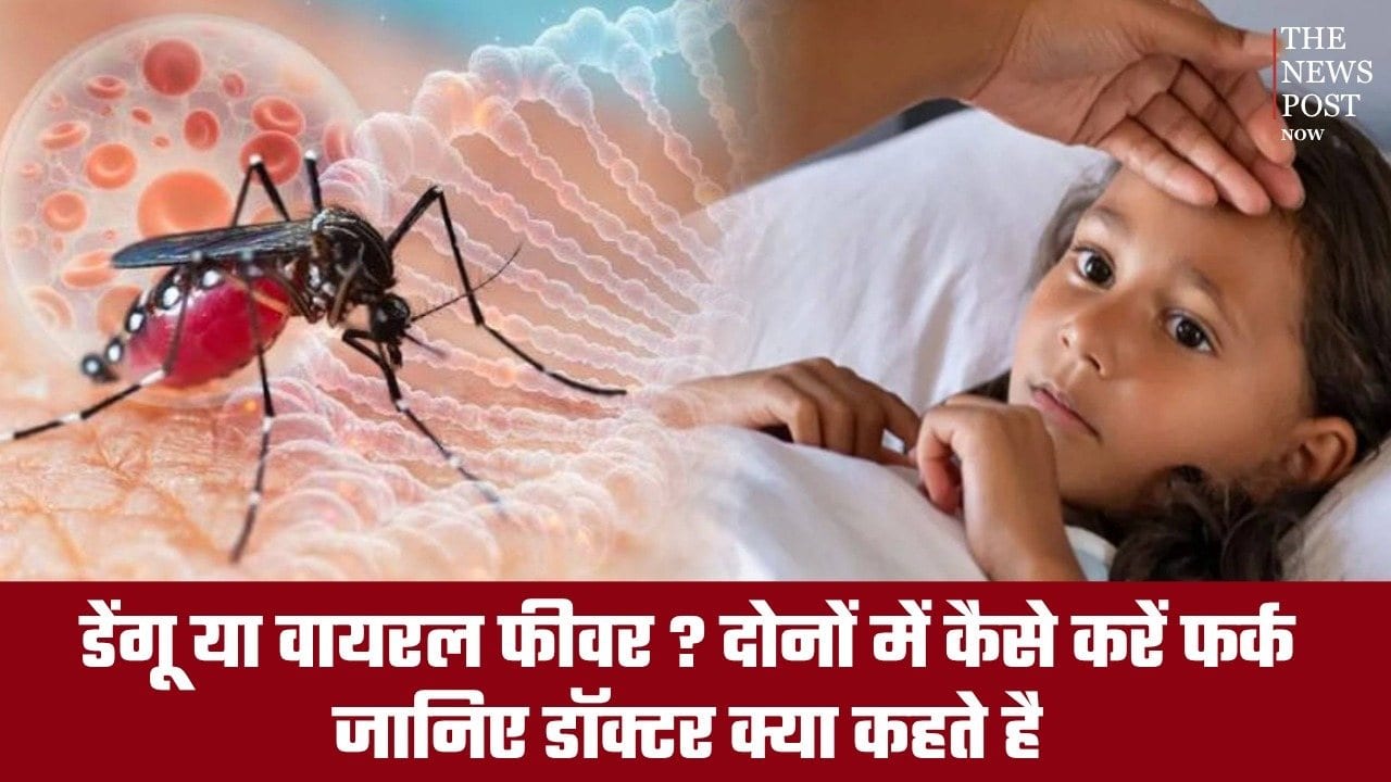 डेंगू या वायरल फीवर? दोनों में कैसे करें फर्क, जानिए कब जरूरी है डॉक्टर की सलाह