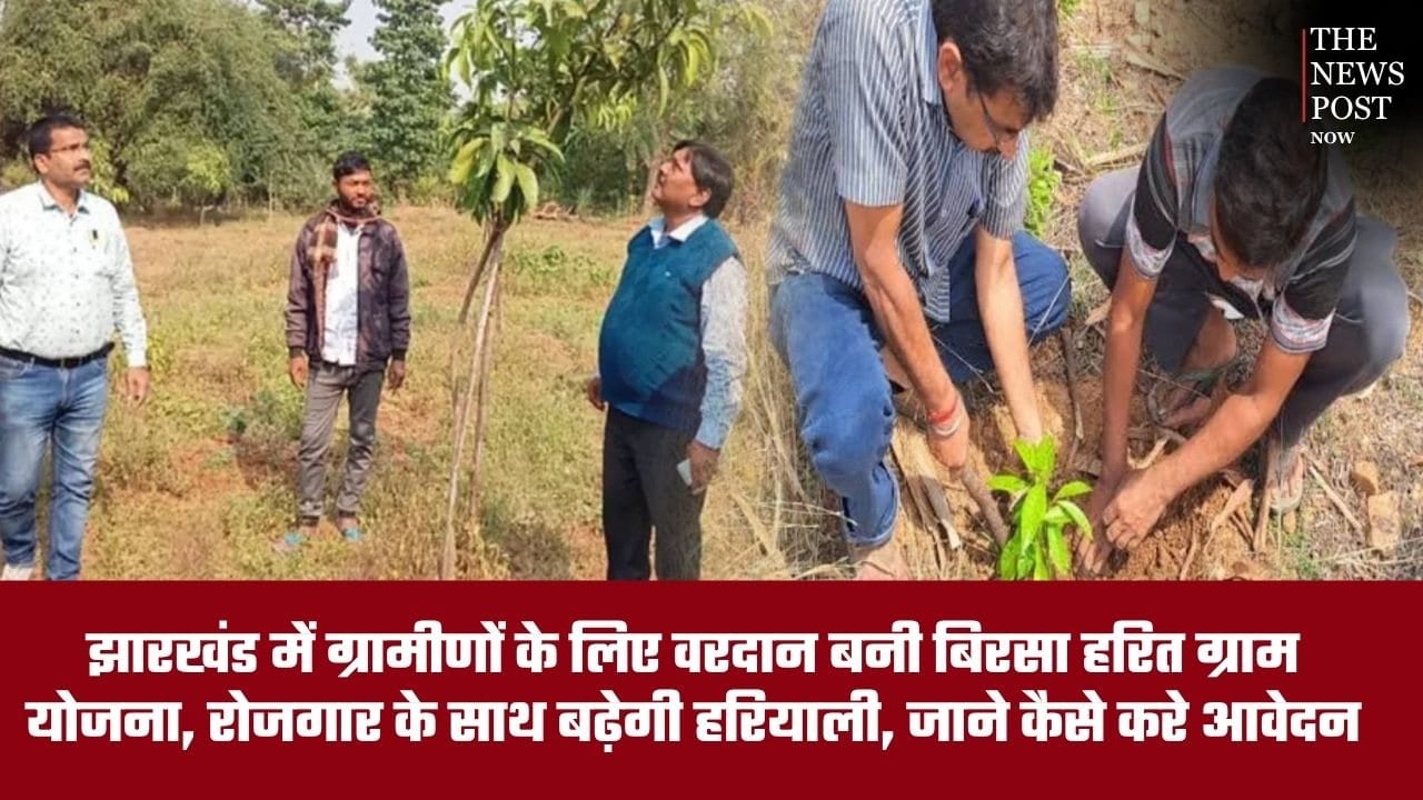 झारखंड में ग्रामीणों के लिए वरदान बनी बिरसा हरित ग्राम योजना, रोजगार के साथ बढ़ेगी हरियाली, जानें कैसे करें आवेदन