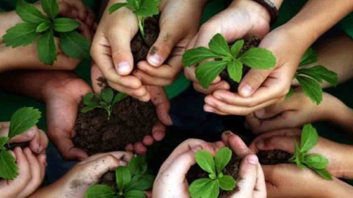 रांची में शिक्षा विभाग का बड़ा अभियान, स्कूलों में लगेंगे 2.50 लाख पौधे, DDO को मिला टारगेट