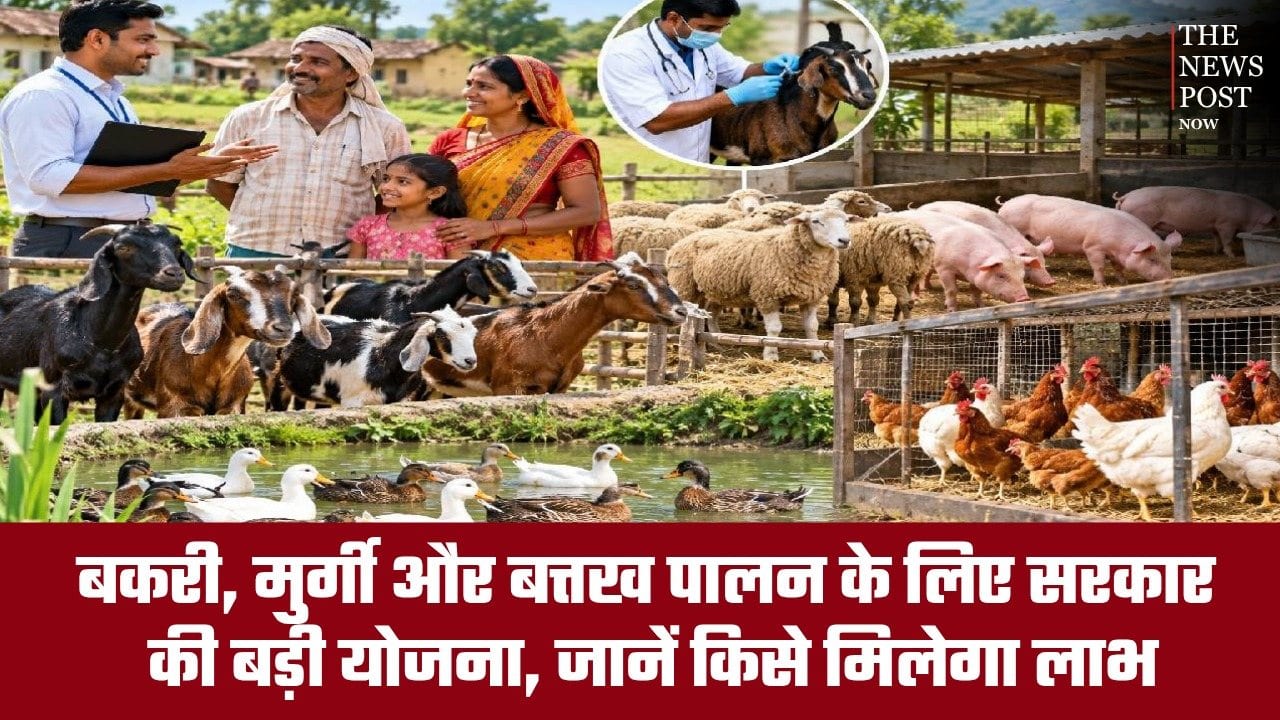 झारखंड में पशुपालन को बढ़ावा! बकरी, मुर्गी और बत्तख पालन के लिए सरकार की बड़ी योजना, जानें किसे मिलेगा लाभ