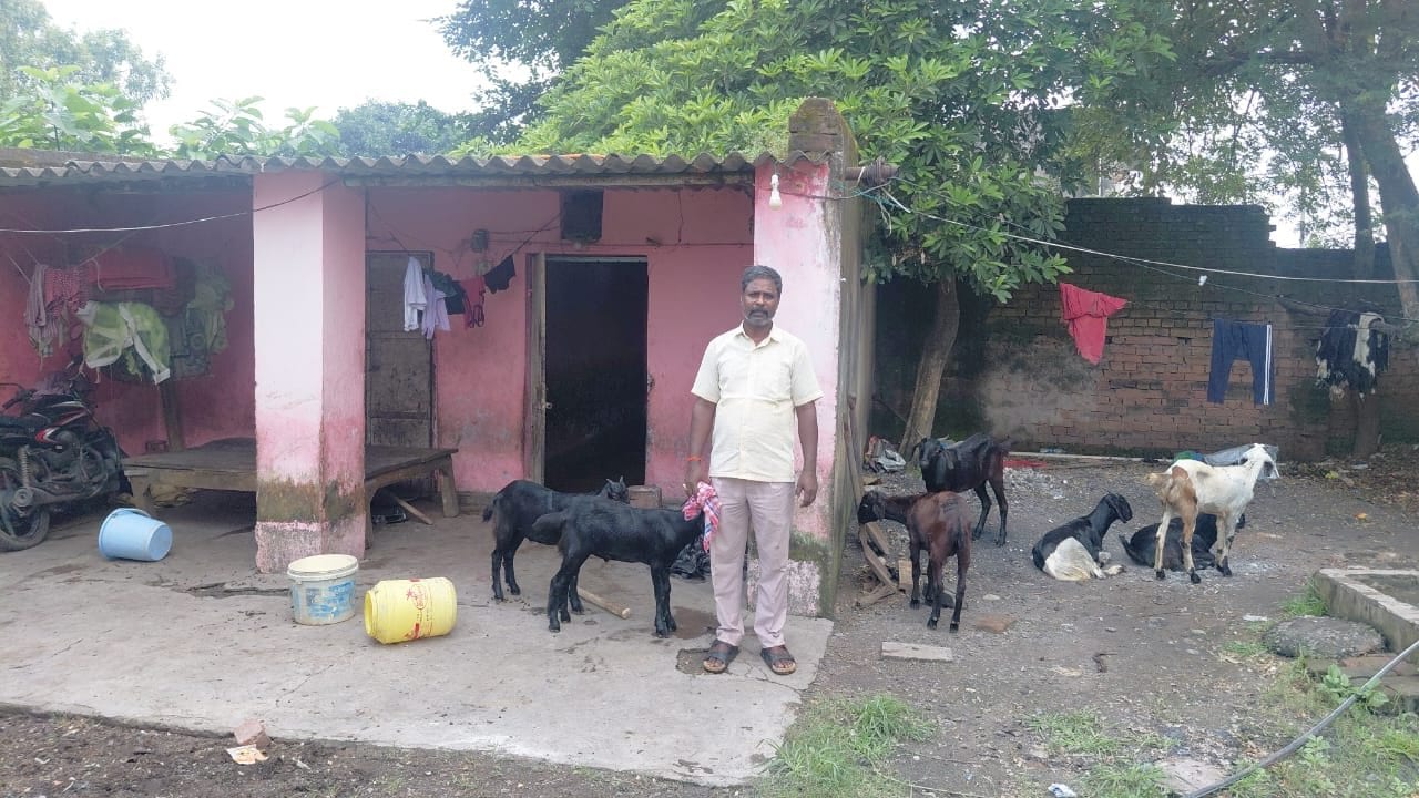 धनबाद में हथियार के बल पर ढाई लाख की खस्सी की लूट, लुटेरों की ढिठाई जान आप भी हो जाएंगे हैरान 