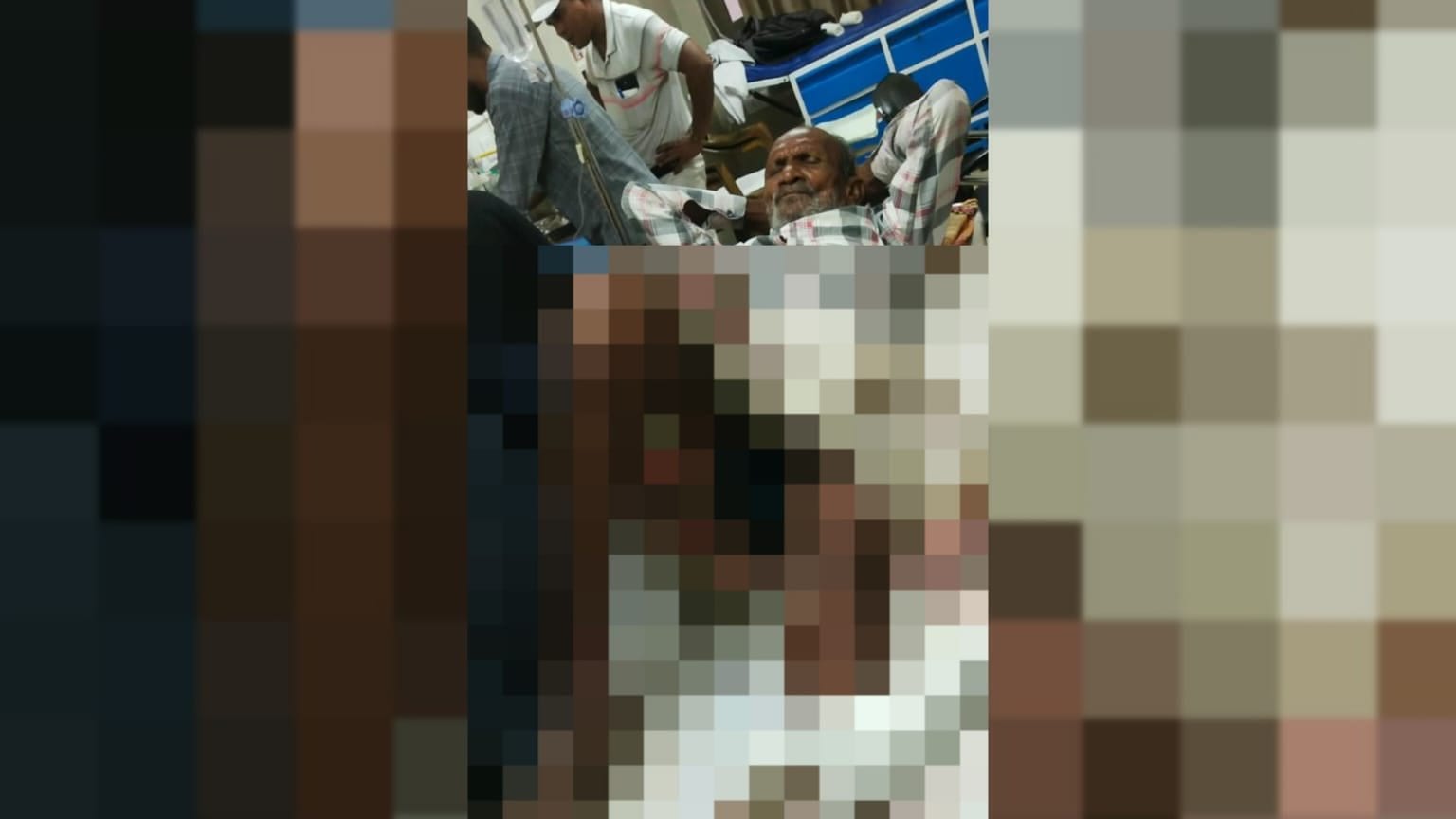 सरायकेला में भालू का हमला, 80 वर्षीय बुजुर्ग घायल, वन विभाग ने शुरू की तलाश
