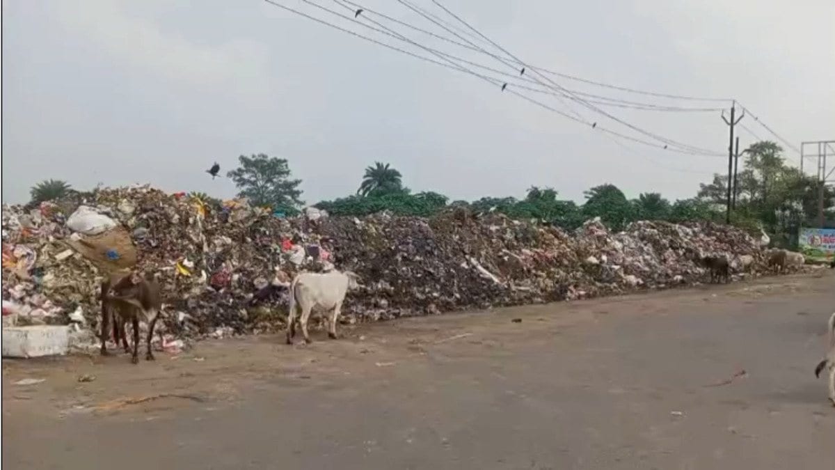 DC के आदेश को दिखाया ठेंगा! चास में खुले में कचरा डंपिंग जारी, बदबू से लोग परेशान