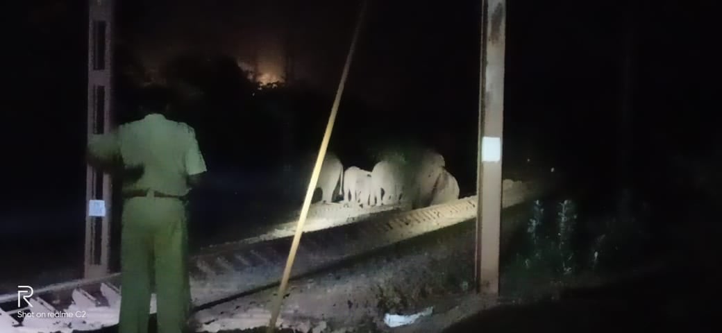 Big Breaking : ट्रेन की चपेट में आया हाथियों का झुंड , तीन हाथी की मौत, रेल परिचालन ठप