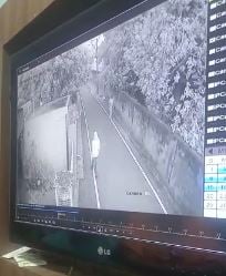 राजधानी में अपराधियों के निशाने पर महिलाएं, मॉर्निंग वॉक कर रही महिला से चेन छिनतई