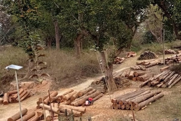 सारंडा के रेंजर की गिरफ्तारी के बाद वन अधिकारियों में हडकंप , रेंजर उगल रहा राज