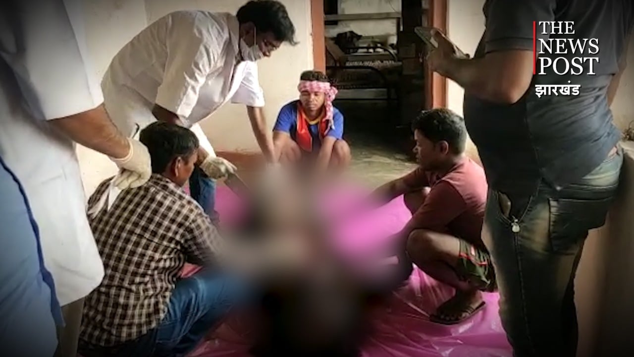 BREAKING :  मादा जंगली भालू का शव बरामद,  इंफेक्शन होने का संदेह, जांच में जुटी वन विभाग