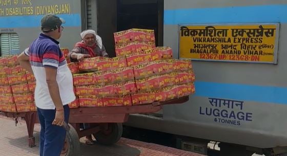 भागलपुर से दिल्ली दरबार पहुंची सौगात, जर्दालू आम का स्वाद चखेंगे राष्ट्रपति और प्रधानमंत्री