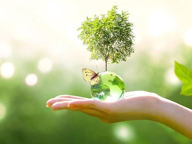 WORLD ENVIRONMENT DAY: अभी भी चेत जाएं झारखंड में बहुत कुछ बाकी है, फिर पछताएंगे -इसके जवाब के लिए क्लिक करें