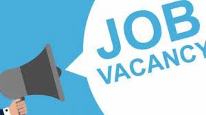करियर: Income Tax विभाग में निकली वैकेंसी, 29 जून तक करें अप्लाई