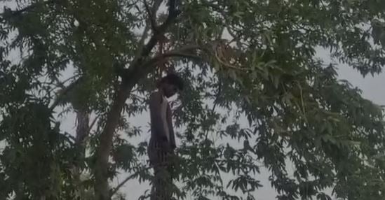 गोपालगंज में पेड़ से लटका मिला युवक का शव, प्रेम प्रसंग का मामला
