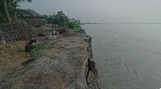 कोसी का कहर: नदी का जलस्तर बढ़ने से कई गांवों में दहशत, दर्जनों घर विलीन, नहीं मिल रही सरकारी मदद