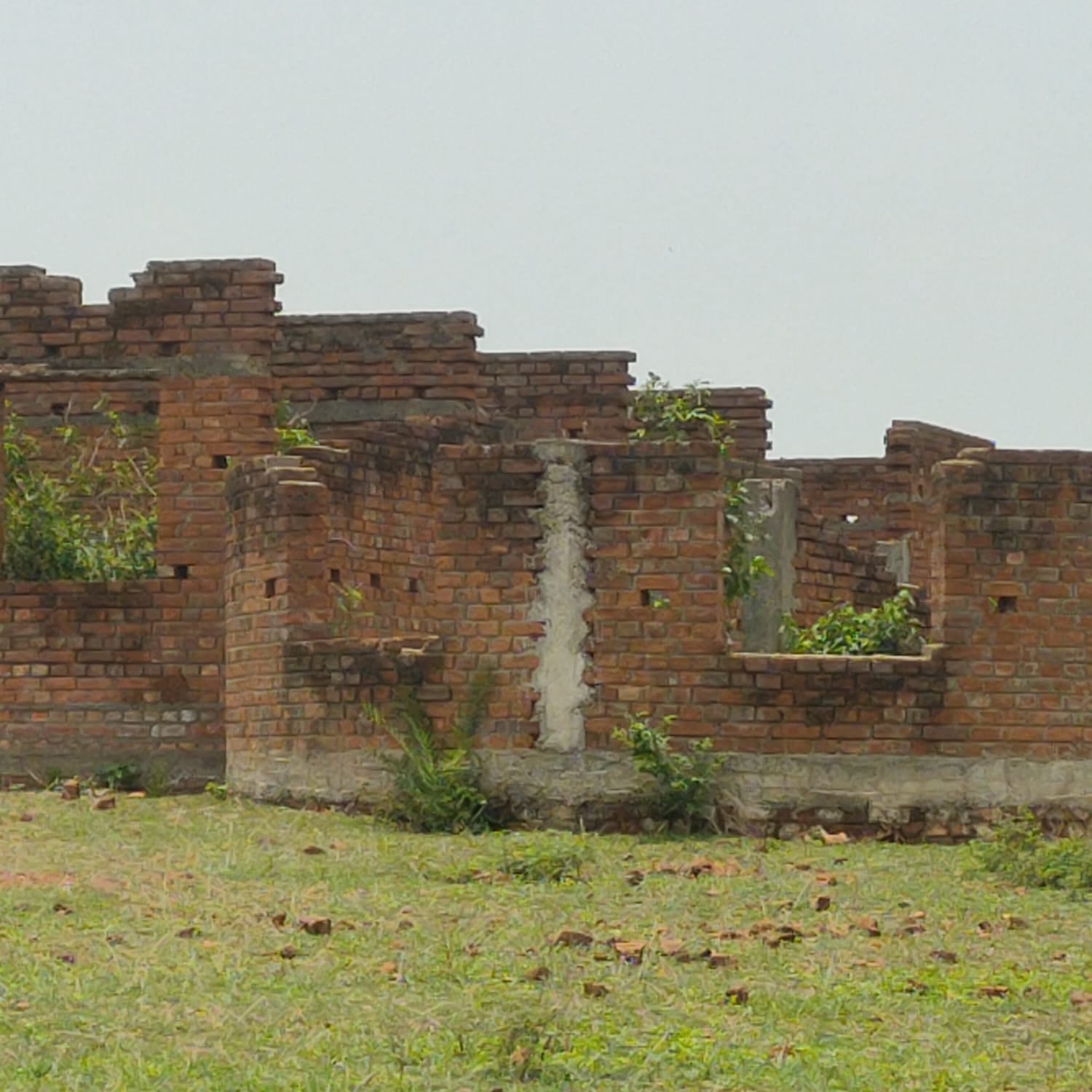पाकुड़ में राष्ट्रीय ग्रामीण स्वास्थ्य मिशन योजना फेल, खंडहर में तब्दील हो रहा करोड़ों का मातृत्व सेवा सदन