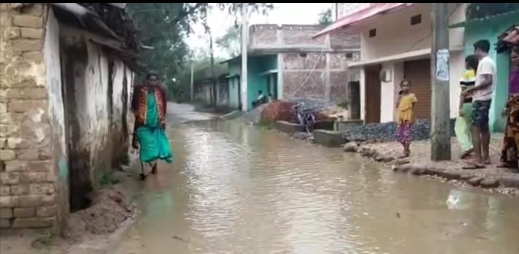 सड़क पर जल जमाव से लोग परेशान, शिकायत के बाद भी नप और वार्ड पार्षद नहीं कर रहा कार्रवाई