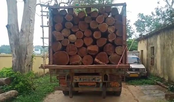 SIMDEGA :  कोलेबिरा में लाखों रुपए की सखुआ लकड़ियां लदे एक ट्रक और दो बोलेरो जब्त