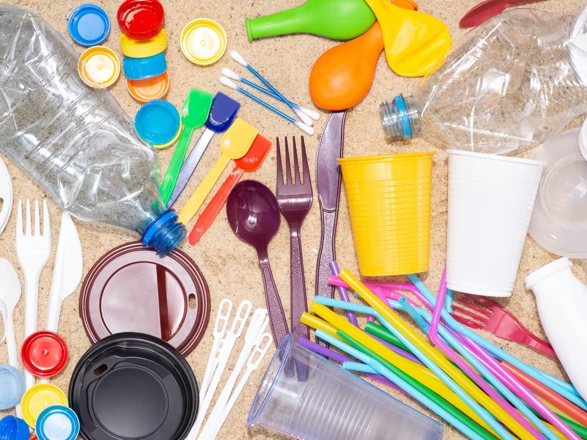 Single Use Plastic Ban: वे कौन-सी चीजें हैं, जिनका आप आज से नहीं कर सकेंगे इस्तेमाल- जानिये पूरी सूची