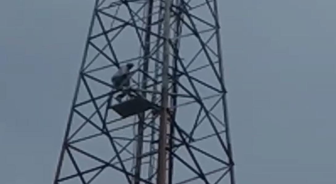 मोबाइल टावर पर चढ़ कर वार्ड पार्षद का हाईवोल्टेज ड्रामा, किसके कहने पर उतरे टावर से ,  पढ़िए पूरी खबर