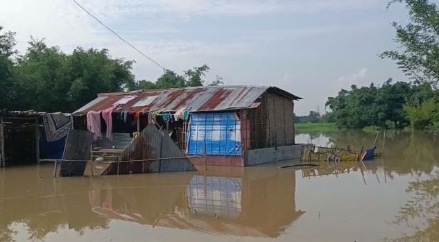 पूर्णिया: आठ पंचायत बाढ़ का दंश झेलने को विवश, लगभग 50,000 की आबादी प्रभावित