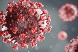 बिहार में कोरोना की रफ़्तार तेज, भागलपुर में तीन की मौ'त