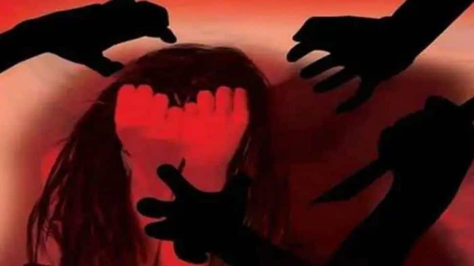 शर्मनाक : 12 वर्षीय बच्ची से गैंग रेप , दुमका मेडिकल कॉलेज अस्पताल में चल रहा मासूम का इलाज