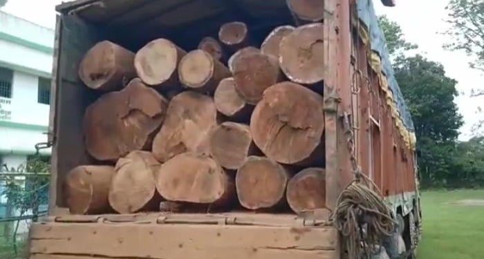 सारंड़ा जंगल में पुष्पा राज, बेखौफ खुलेआम हो रही लकड़ी की तस्करी, दो लाख का कीमती लकड़ी जब्त