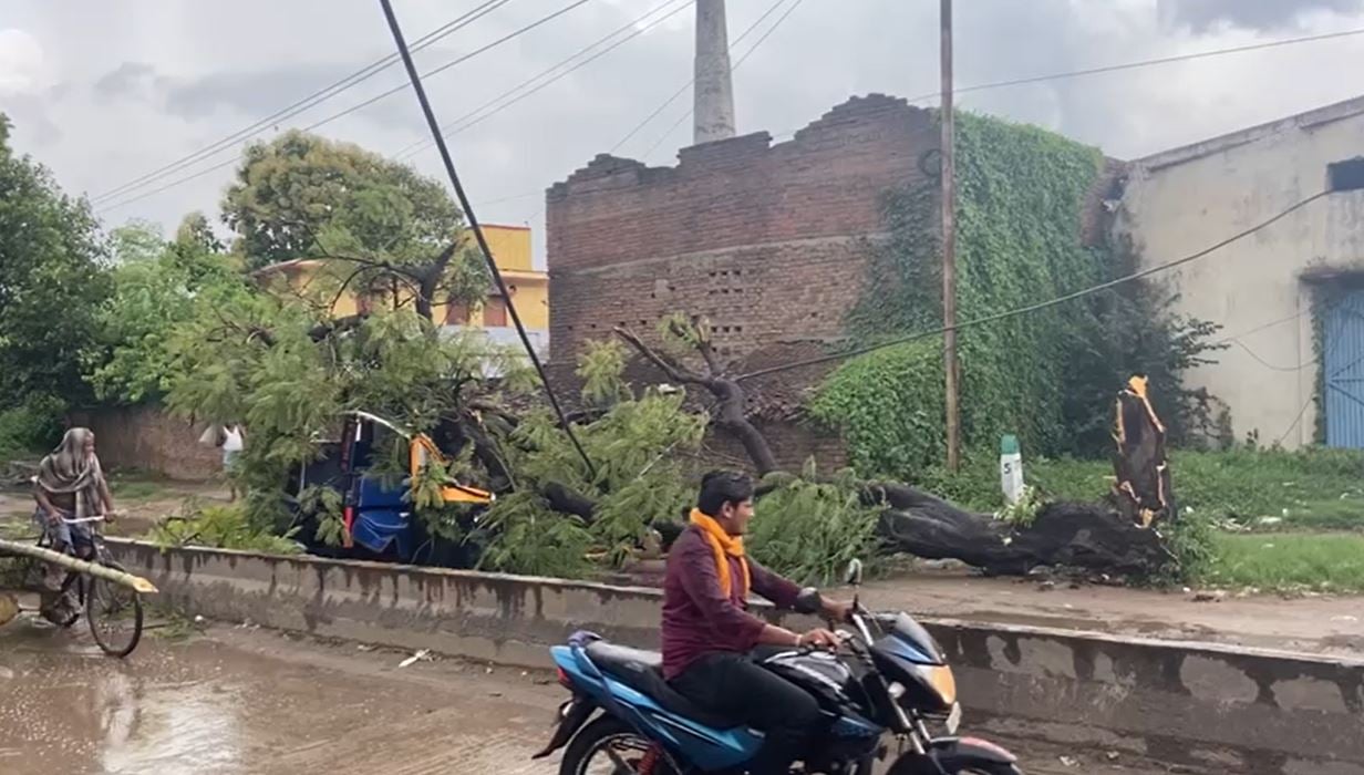 पटना सिटी में बीच सड़क पर चलती ऑटो पर गिरा विशाल पेड़, दो लोग घायल