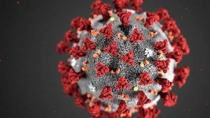 सदर अस्पताल की नर्स ड्यूटी के दौरान हुई संक्रमित, नहीं लिया था अभी तक वैक्सीन का डोज, पढ़िए पूरी खबर