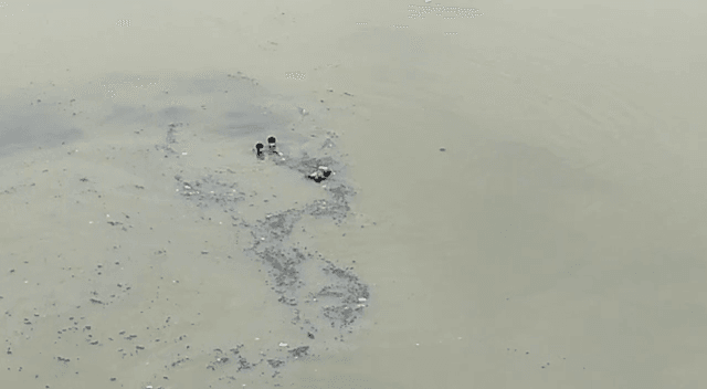 नदी से अज्ञात महिला का बहता श'व बरामद, पहचान करने में जुटी पुलिस