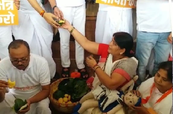 सदन के बाहर नीरा यादव क्यों बेच रही हैं इडली- धुसका, किसान के ड्रेस में दिखे पांकी विधायक, पढ़िए पूरी खबर