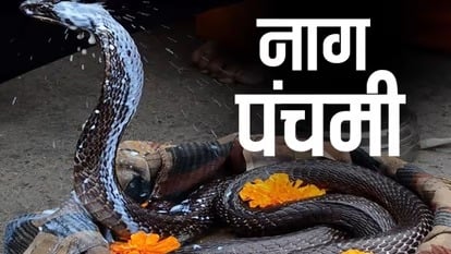 नागपंचमी आज: क्या है इस दिन का विशेष महत्व और पूजा के लाभकारी पक्ष, जानिए