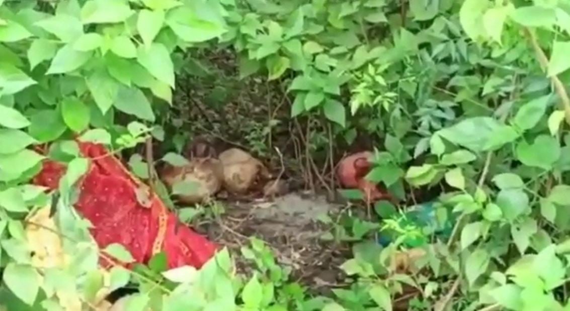 एक साथ 5 नरमुं'ड मिलने से इलाके में हड़कंप, जब पुलिस पहुंची तो जानिए क्या हुआ