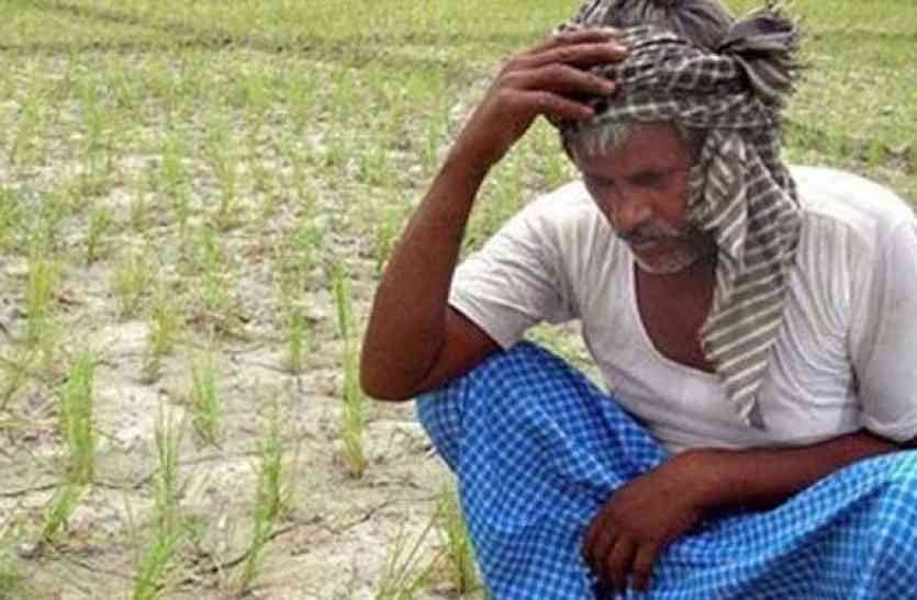 एसी कमरों से बहार निकल कर किसानों का हाल देखिये हुजूर , जानिए झारखण्ड में कहां कितनी वर्षा हुई