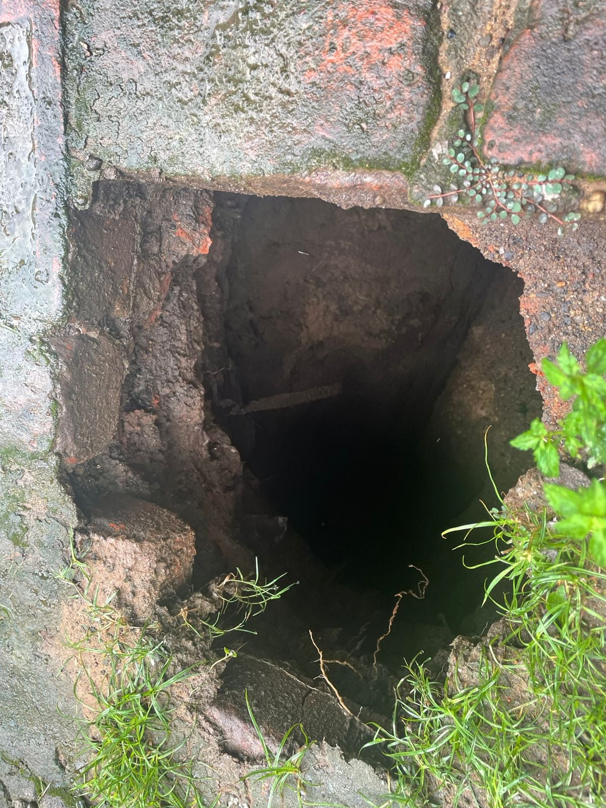 भदरीचक में घर के आंगन में बना बड़ा गोफ, फिर क्या हुआ आप भी जानिए