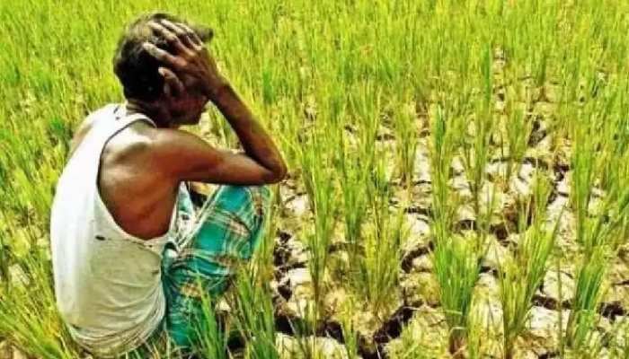 सरकार ने माना पूरे प्रदेश में सूखे के हालात, जानिए क्या हुआ आपदा प्रबंधन विभाग की बैठक में