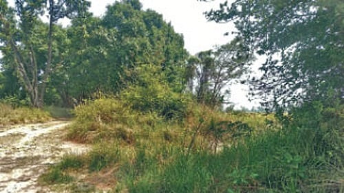 एक ऐसा गांव जहां की आबादी जीरो, नहीं मिलता कोई सरकारी लाभ, क्या है पूरा मामला