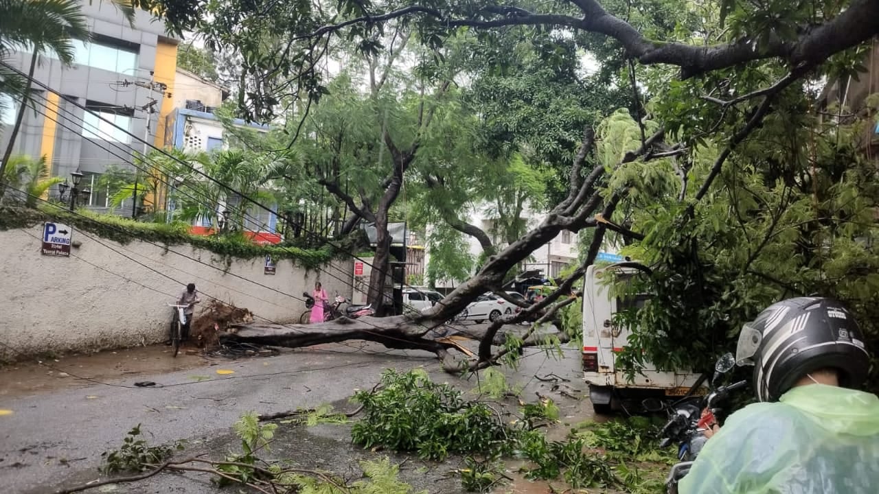 रांची और आसपास के इलाके में भारी बारिश , पेड़ गिरने से जगह जगह आवागमन बाधित