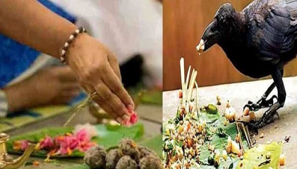 हिंदू धर्म में पितृपक्ष की क्या है विशेषताएं, जानिए इससे जुड़ी हर छोटी से लेकर बड़ी बात