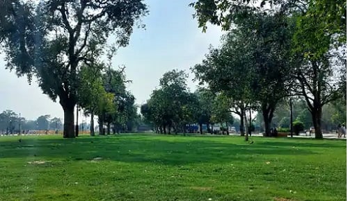 हरी घास की क़ालीन और छलछल करती नहर के बीच के रस्ते पर क्यों उठ रहे सवाल, जानिये