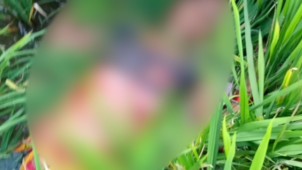 खेत में घास काट रही महिला पर बाघ का हमला, वन विभाग से मुआवजे की मांग, गांव में दहशत