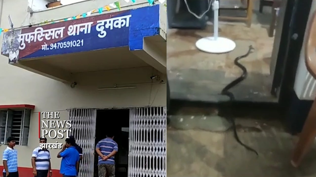 थाने में रेंगते सांप, फाइलों में बिच्छू-मकौड़ों का बसेरा, गर्व से कहिए हम हैं हाइटेक झारखंड पुलिस