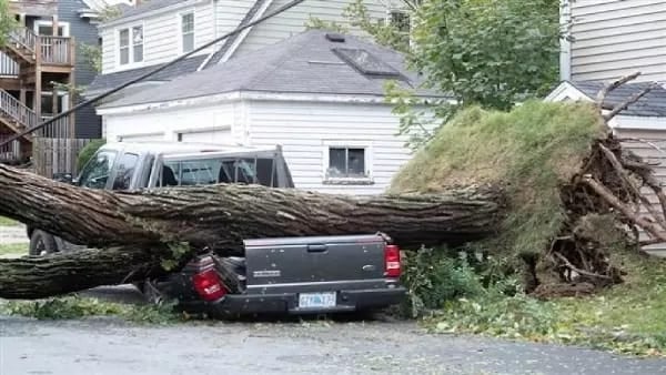 तूफान ने ऐसा बरपाया कहर कि प्रधानमंत्री को जापान यात्रा रद्द करनी पड़ी, जानिए कहां का है मामला