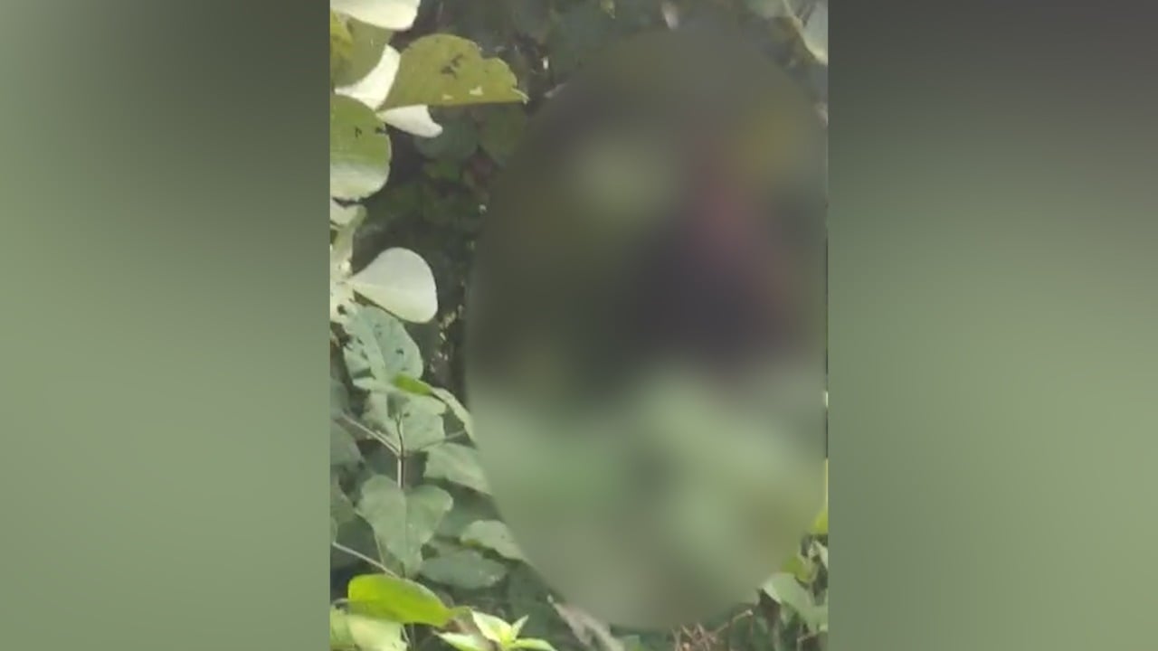 अपडेट: संदिग्ध परिस्थिति में किशोरी का पेड़ से झूलता शव बरामद मामले में एक गिरफ्तार, पूछताछ जारी