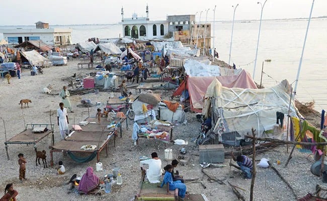 मलेरिया से बुरी तरह जूझ रहे पाकिस्तान को आई पड़ोसी की याद, भारत से खरीदेगा 6.2 मिलियन से अधिक मच्छरदानी