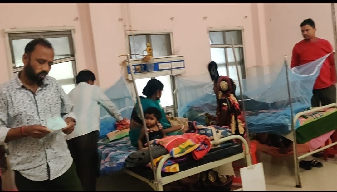 डेंगू के बढ़ रहे मरीज, रिम्स में बनाए गए डेंगू वार्ड, पढ़िए पुरी खबर